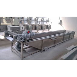 昊昌1000型蔬菜清洗机 高效洁净，赋能食品加工新篇章